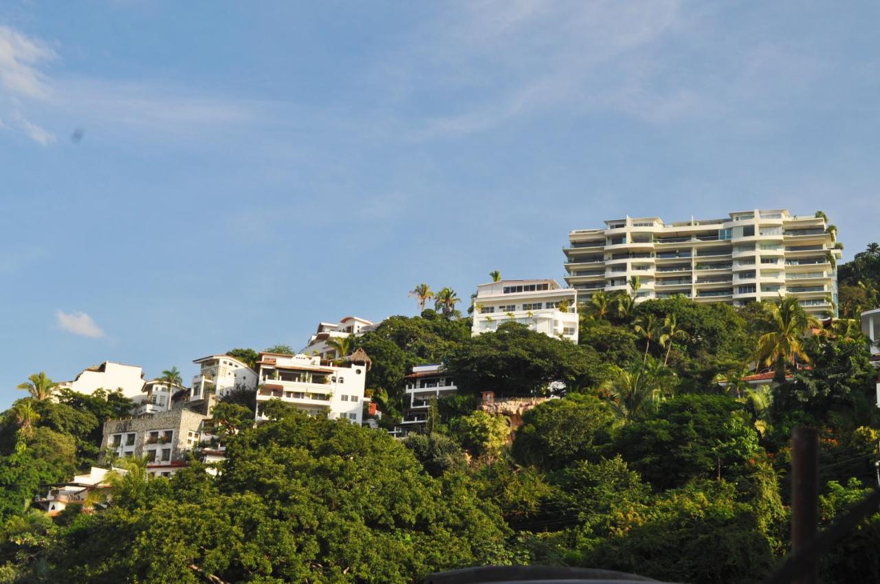 Petit Hotel Pilitas (Adults Only) Puerto Vallarta Dış mekan fotoğraf